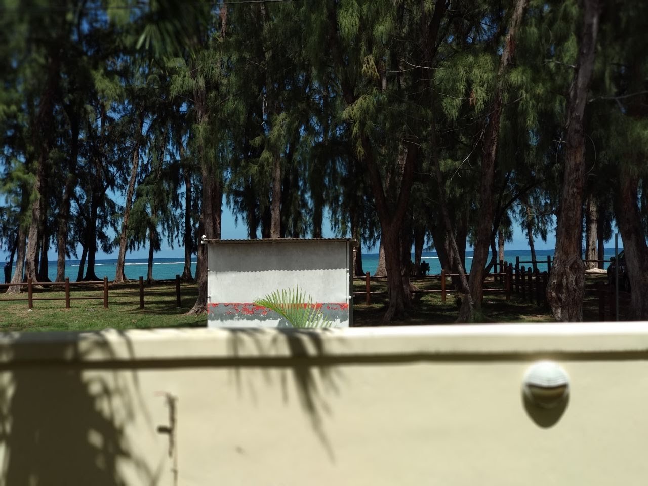 Plage de Flic en Flac bordée de filaos, face à la Résidence Mayom