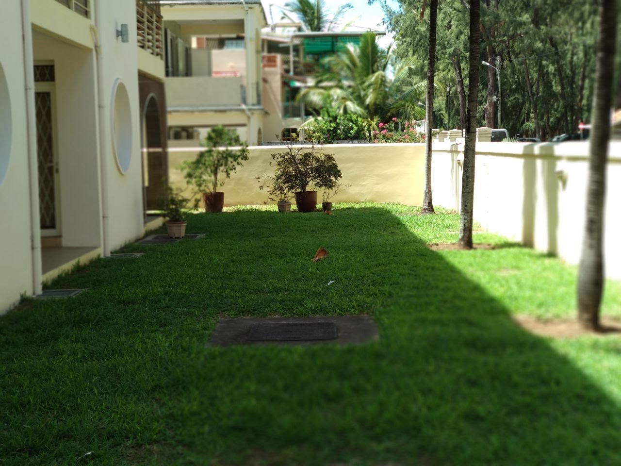 Jardin et pelouse de la Résidence Mayom à Flic en Flac
